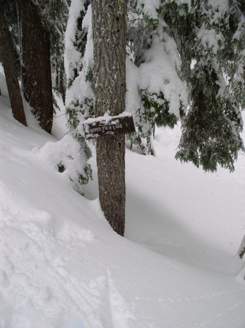 Frog Lake Snowshoe Jan 21 2005 016 